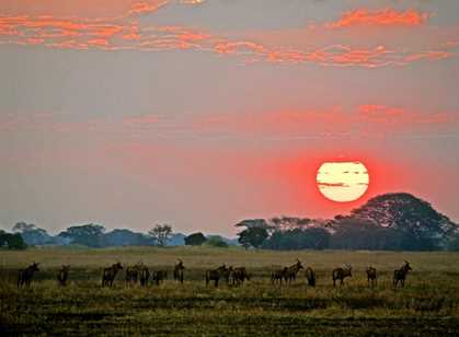 Kafue National Park